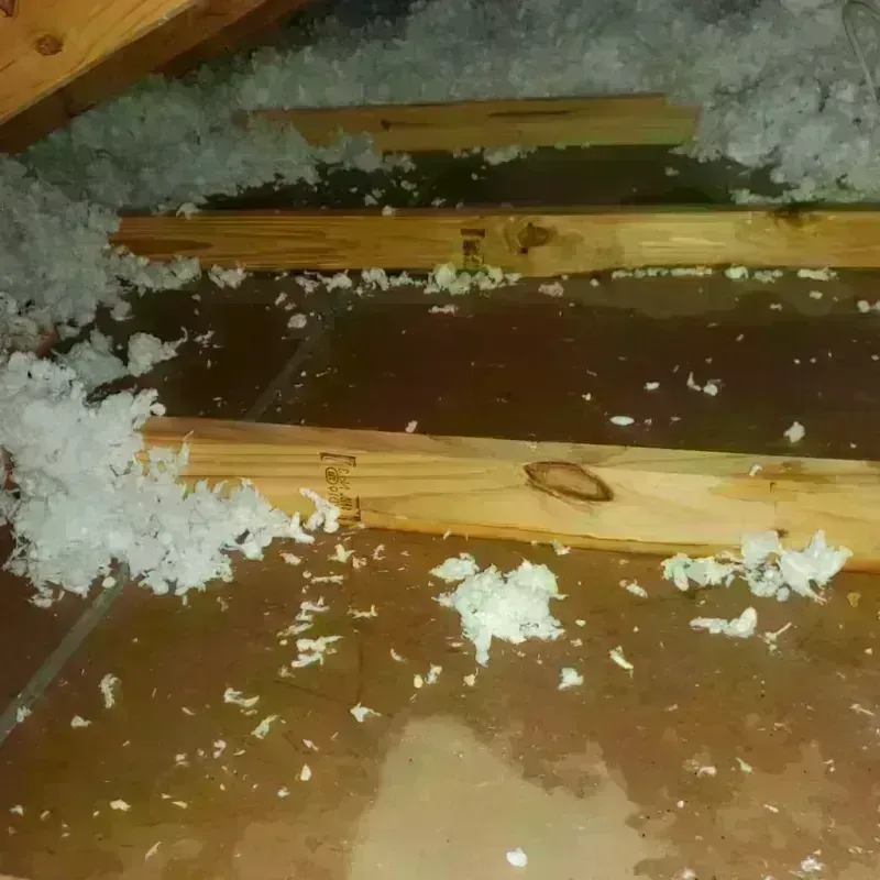 Attic Water Damage in Coos County, OR